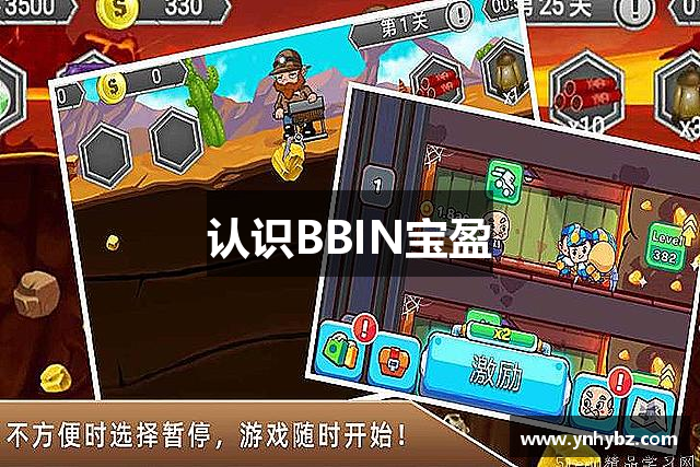 认识BBIN宝盈
